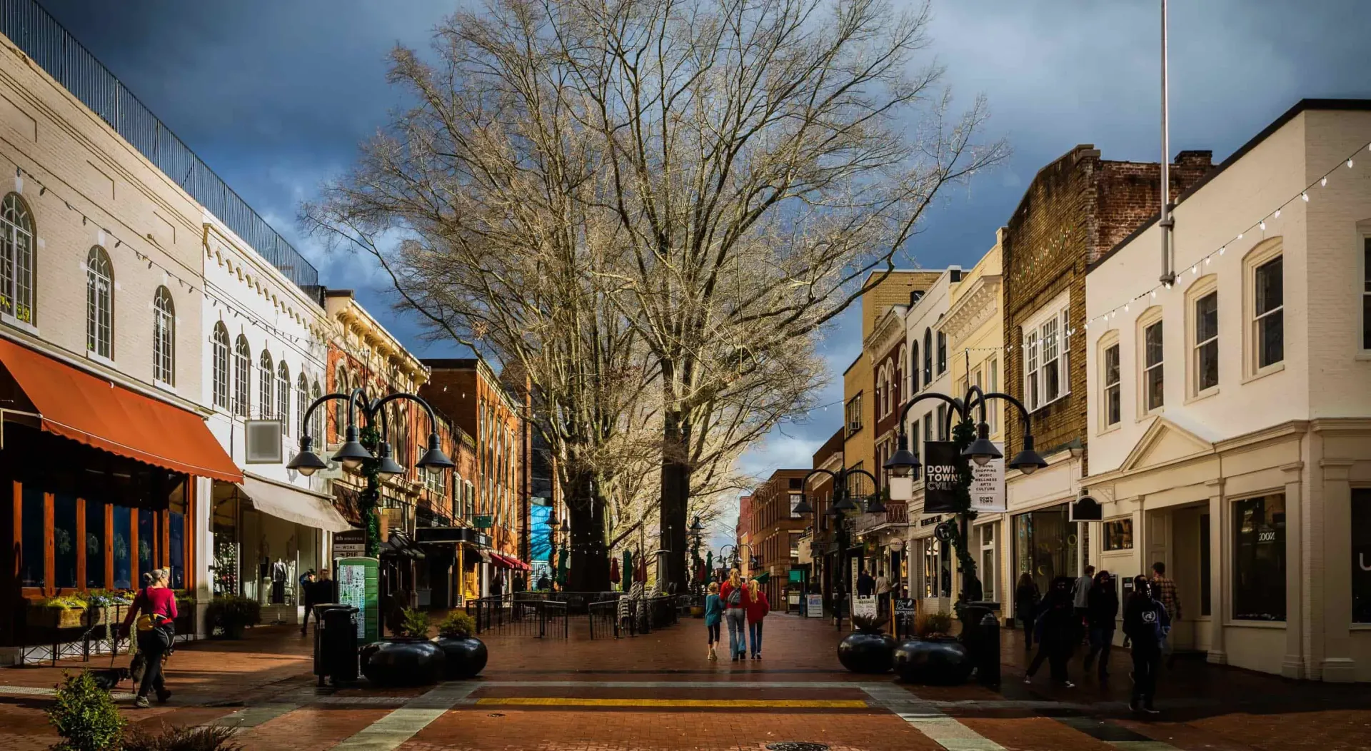 A city street with a tree in the middle of it.