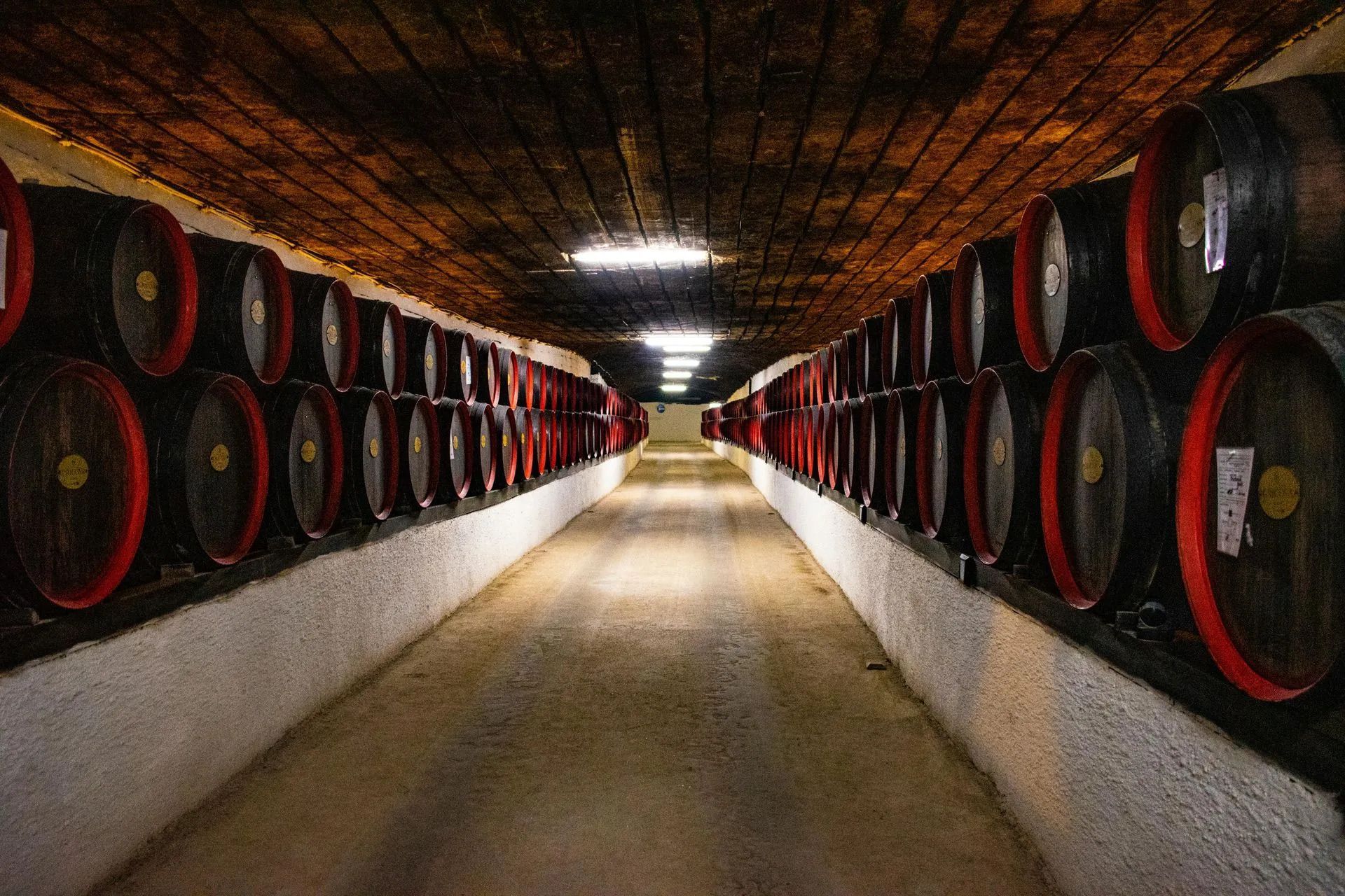 ineyards in charlottesville