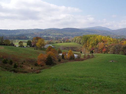beautiful view at Fairhill Farm Country
