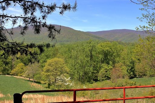Scene from the Trail
