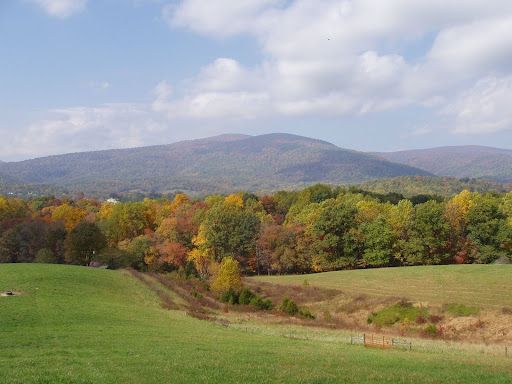 beautiful view at fairhill farm country