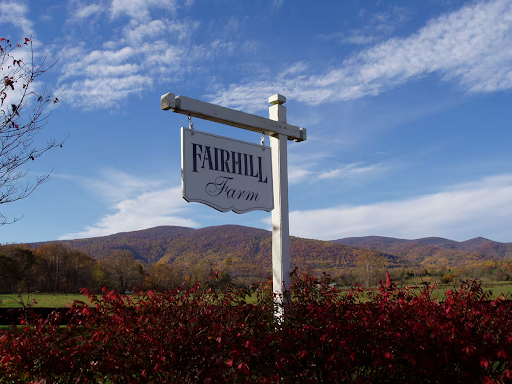 Blue Ridge Mountain Airbnbs in Stanardsville, VA