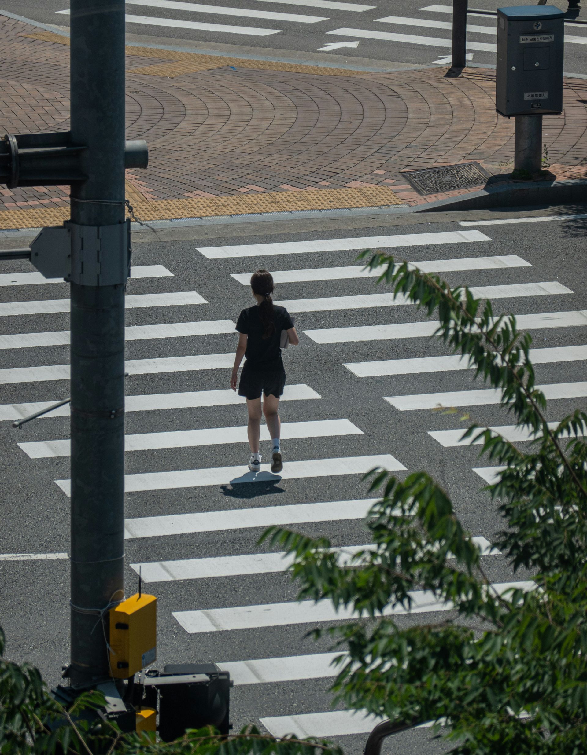 Person skateboarding across a crosswalk on a sunny day.