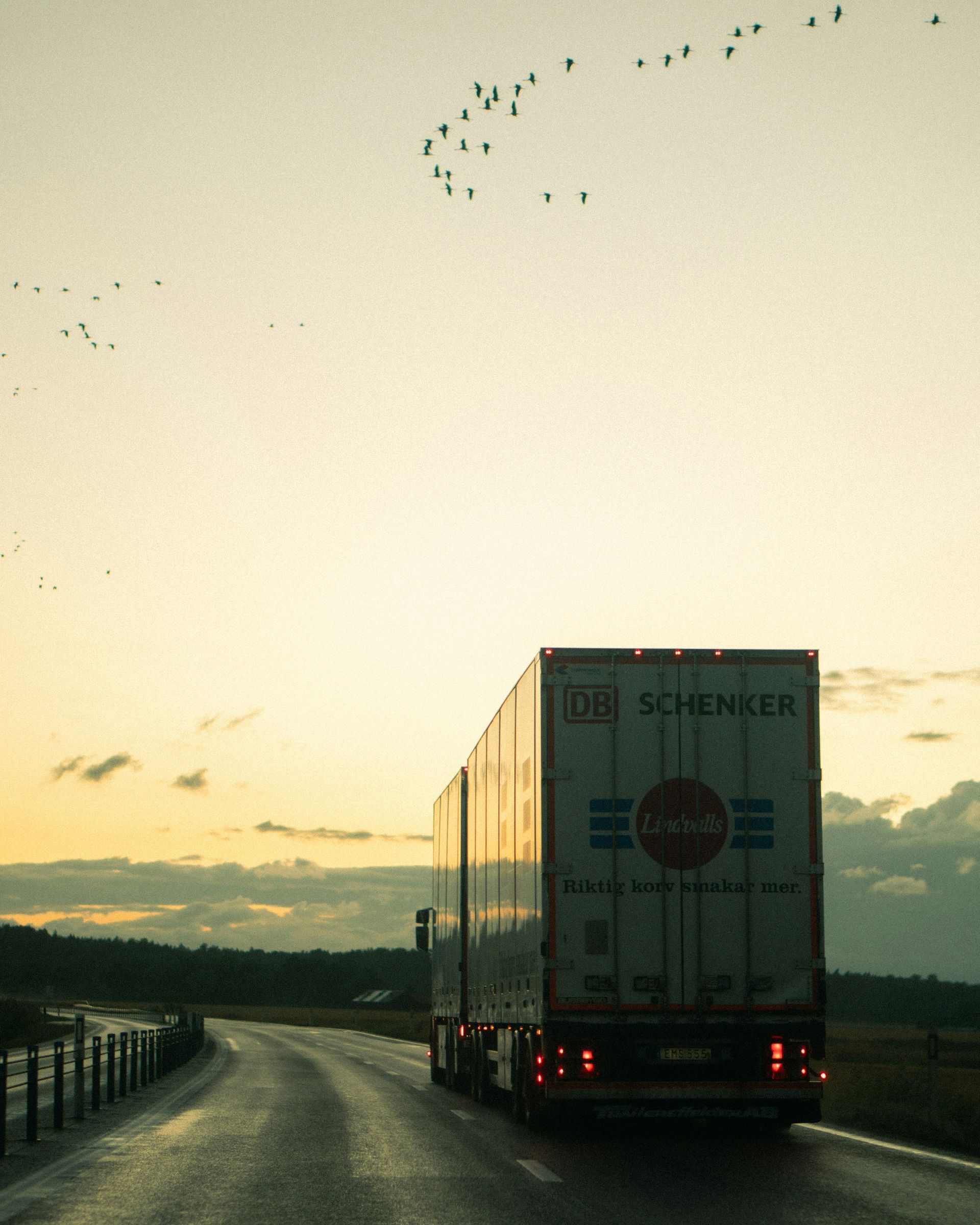 Semi-truck on a wet road at sunset, birds flying overhead.