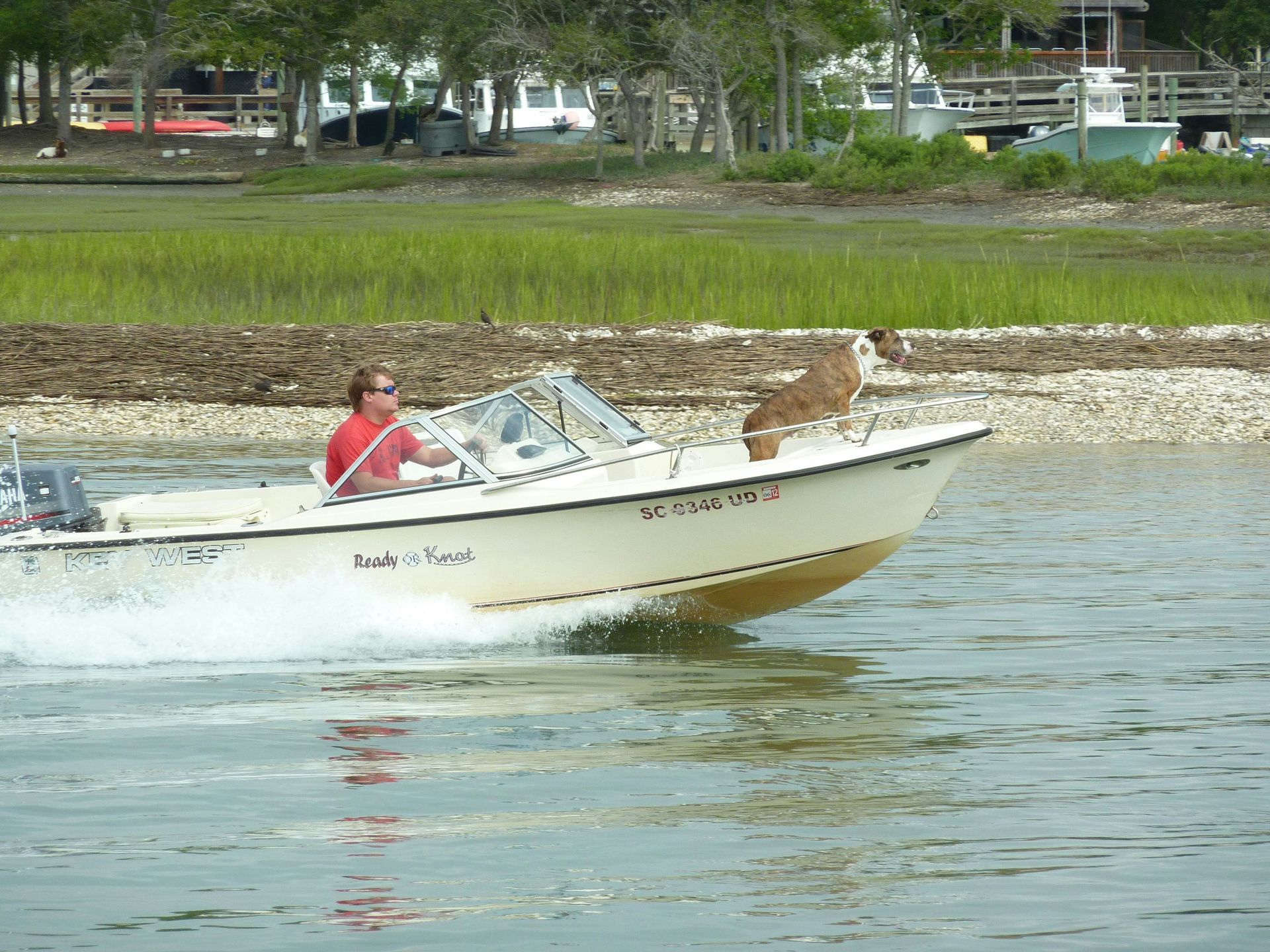 A person piloting a white motorboat on water, near a shoreline with grass.