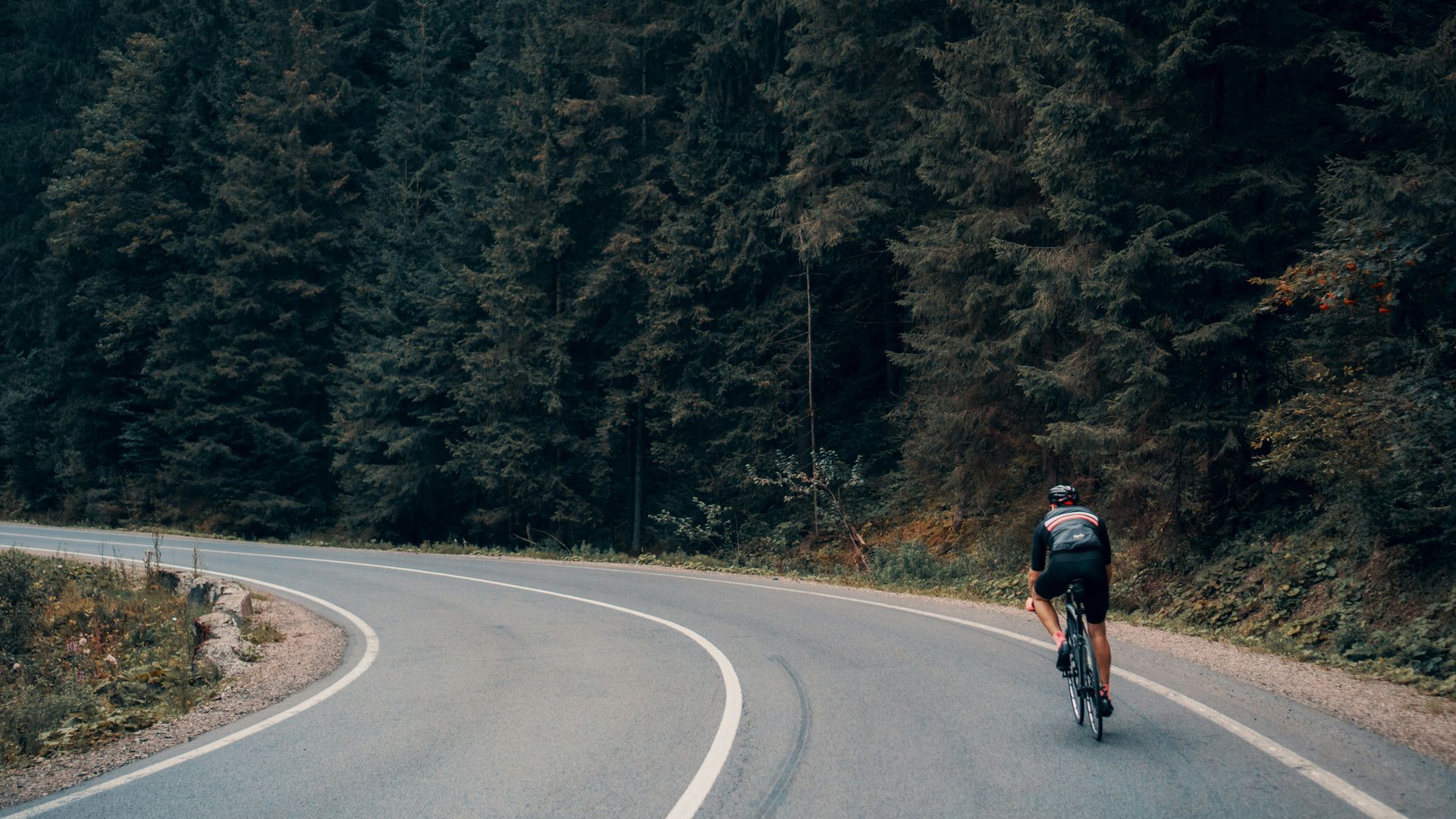 Cyclist riding road bike on a curved road through a dark green forest.