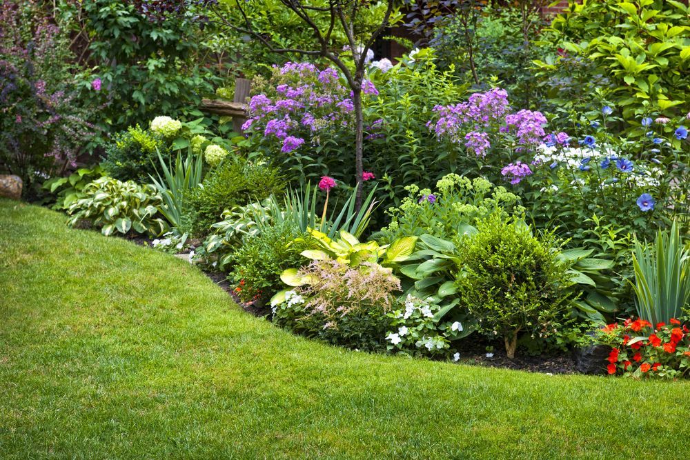 A garden filled with lots of flowers and plants