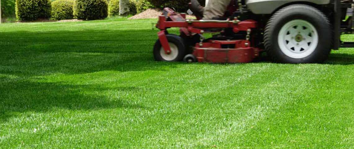 A man is riding a lawn mower on a lush green lawn.