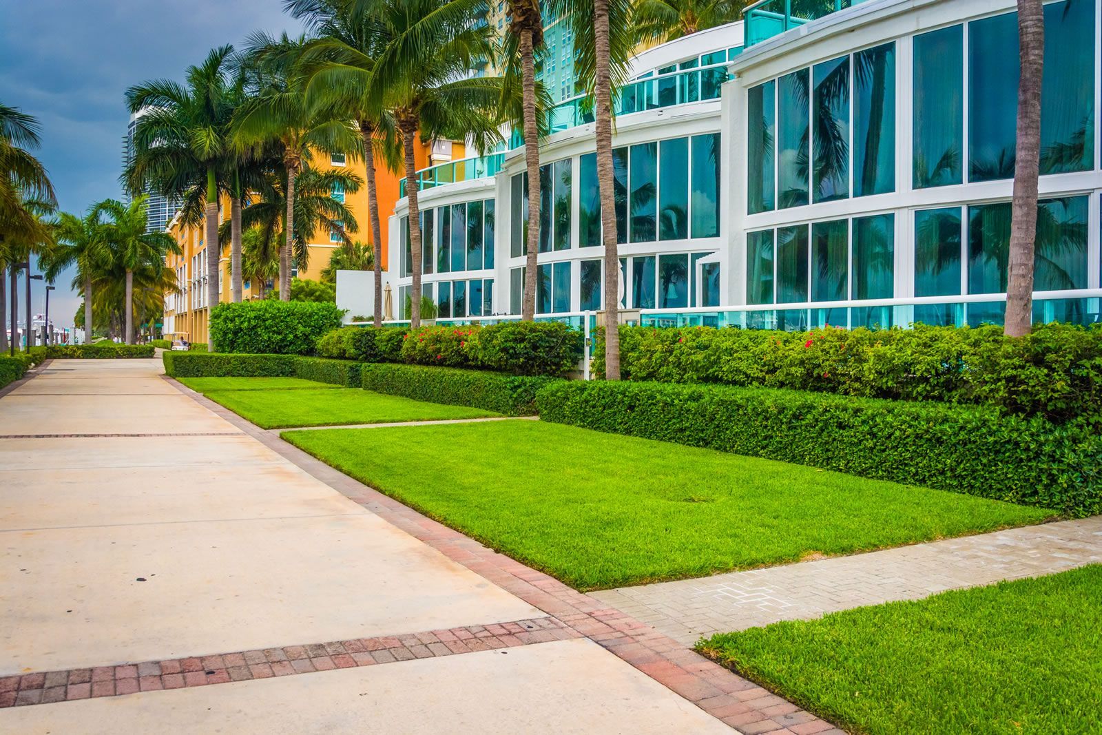 Palm-lined sidewalk beside a modern glass building and bright green lawn under sunny skies