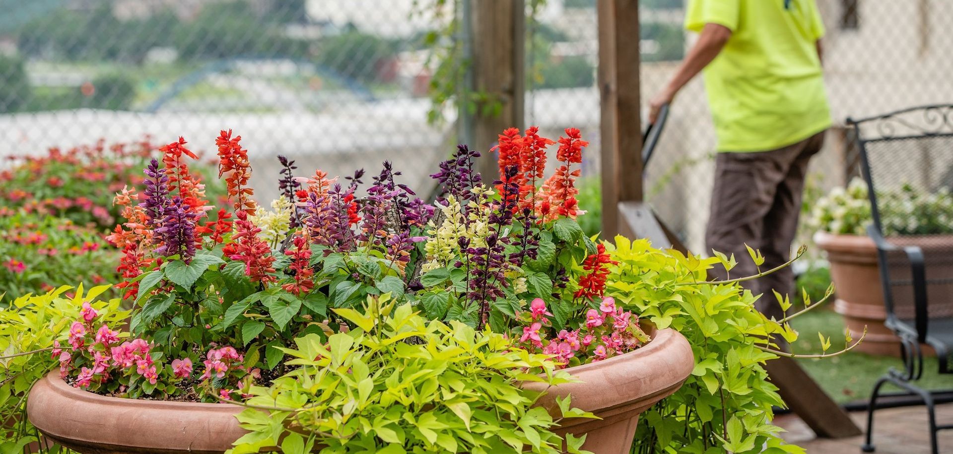 There are many different types of plants in the room.
