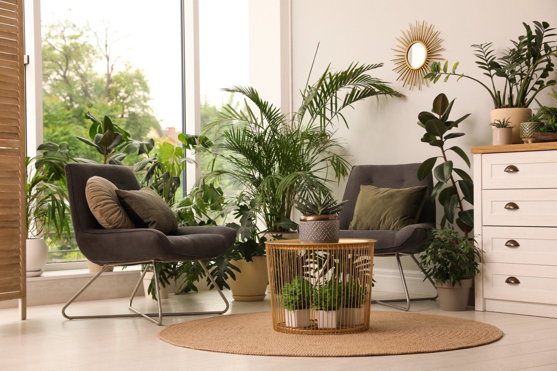 A living room filled with lots of potted plants and chairs.