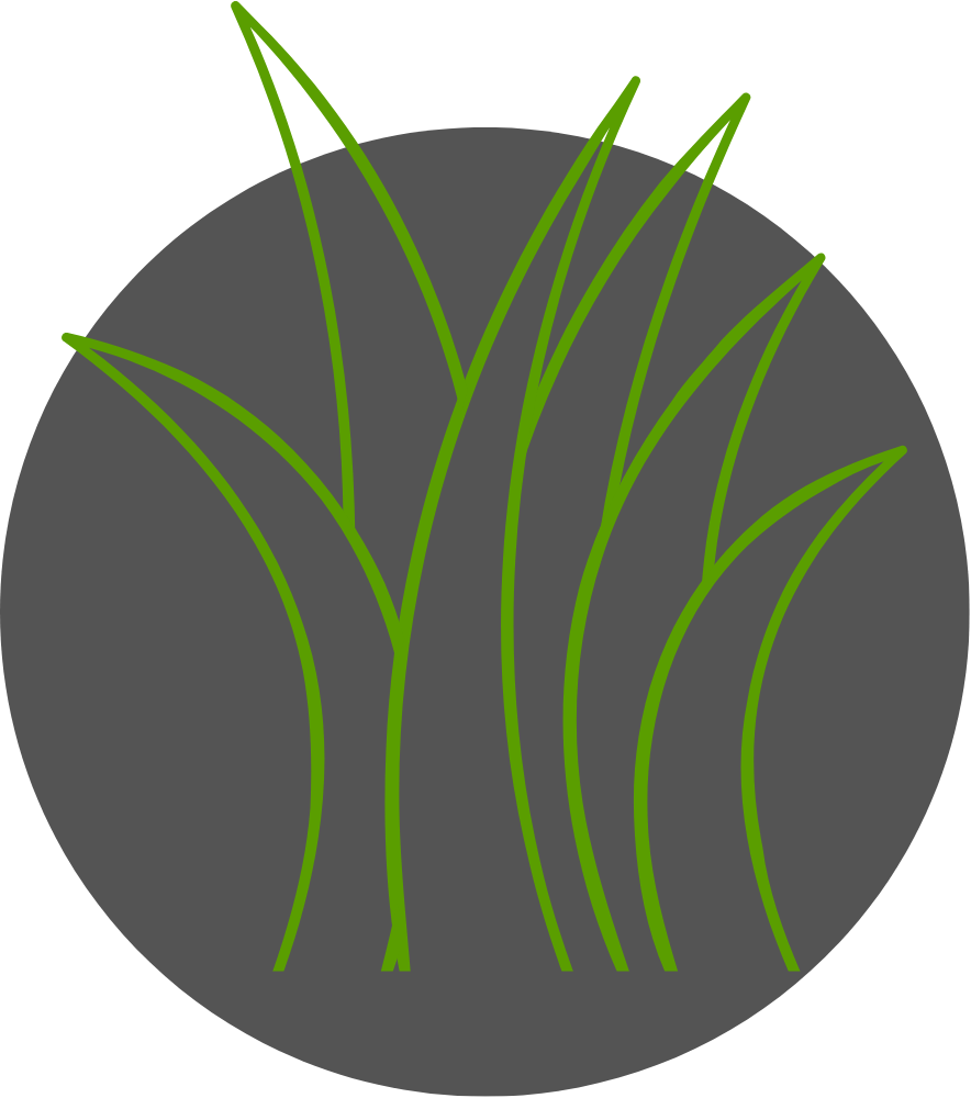 A circle with a bunch of green grass in it