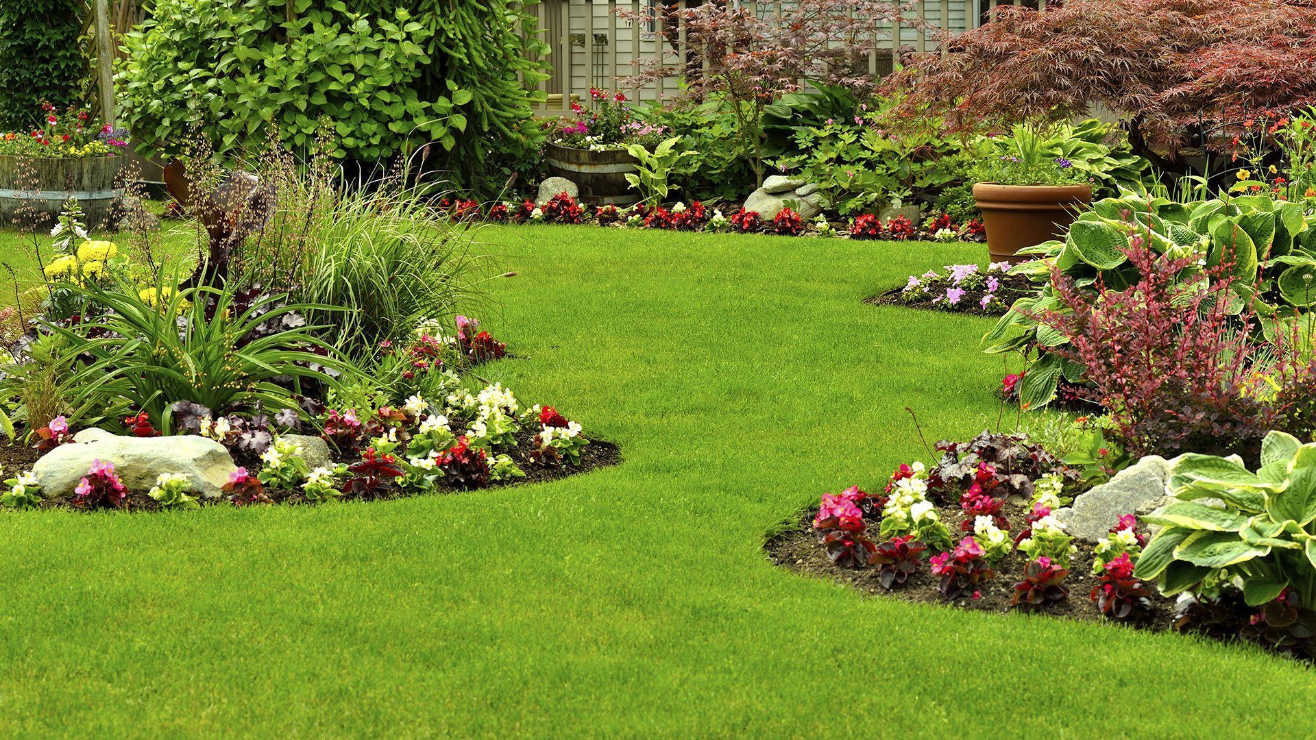 A lush green lawn surrounded by flowers and shrubs in a garden.