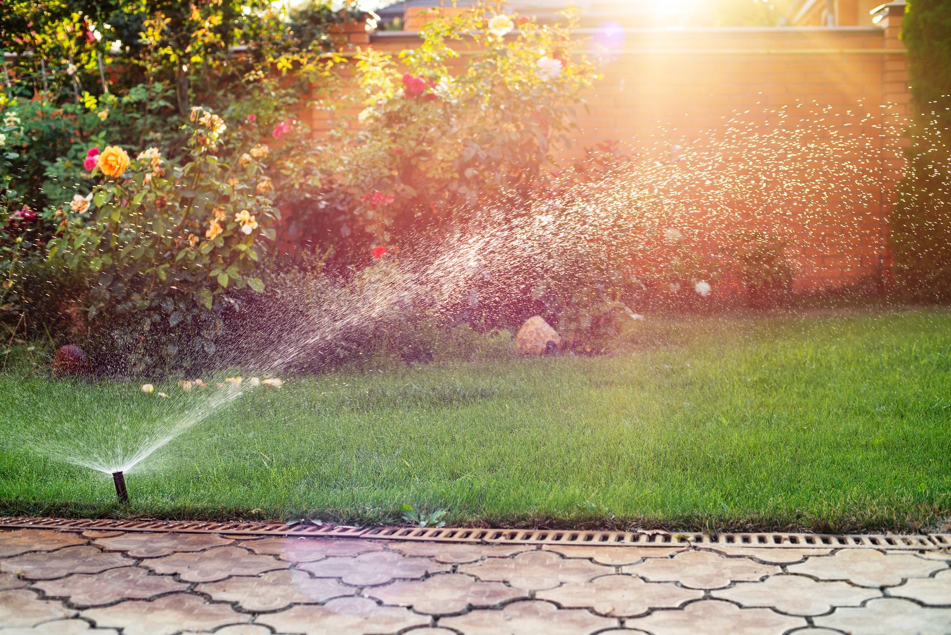 Sprinkler watering a green lawn in a sunny garden with flowers and stone path