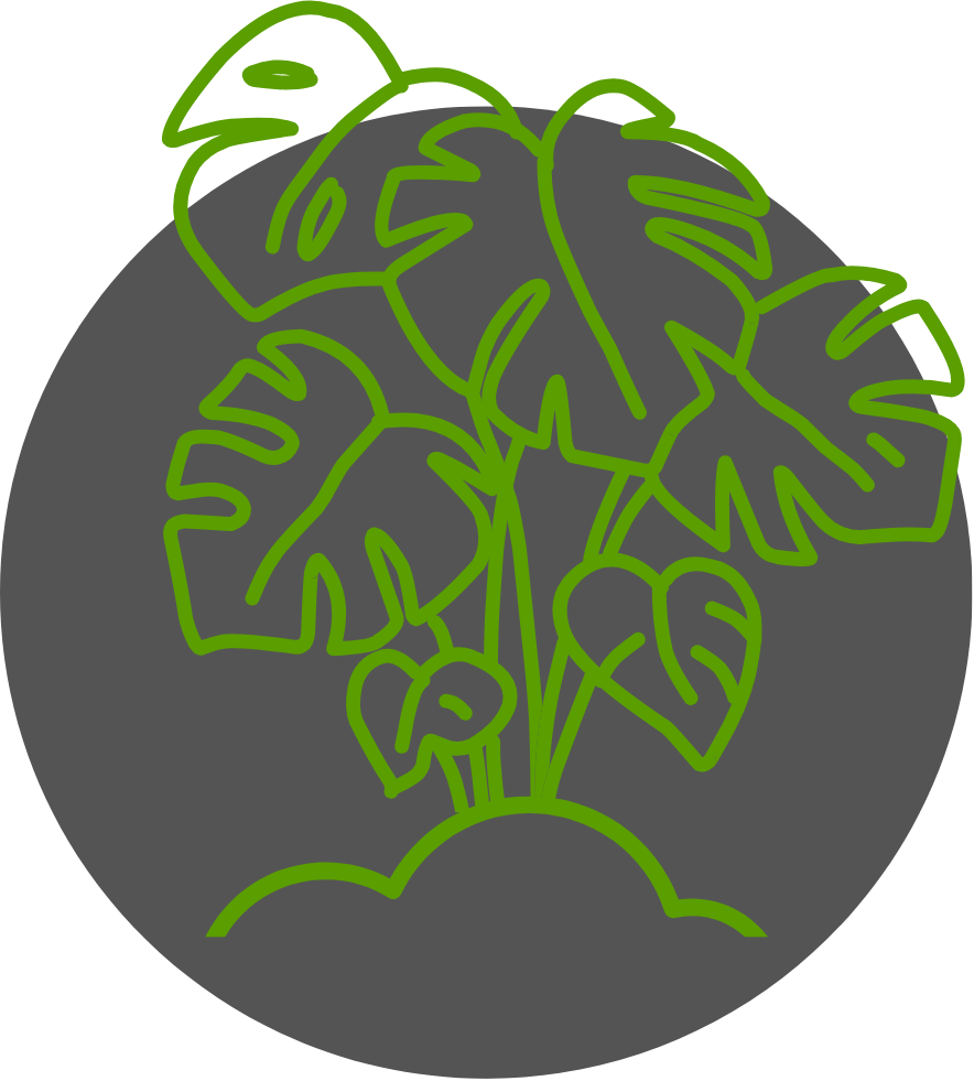 A drawing of a plant with green leaves in a circle.