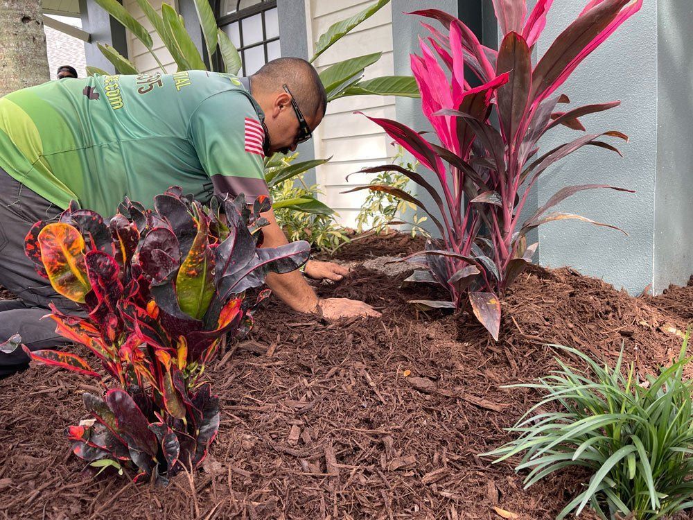 A man is kneeling down in a garden surrounded by plants and mulch.