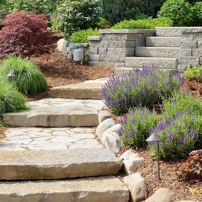 A stone walkway surrounded by purple flowers and plants in a garden.