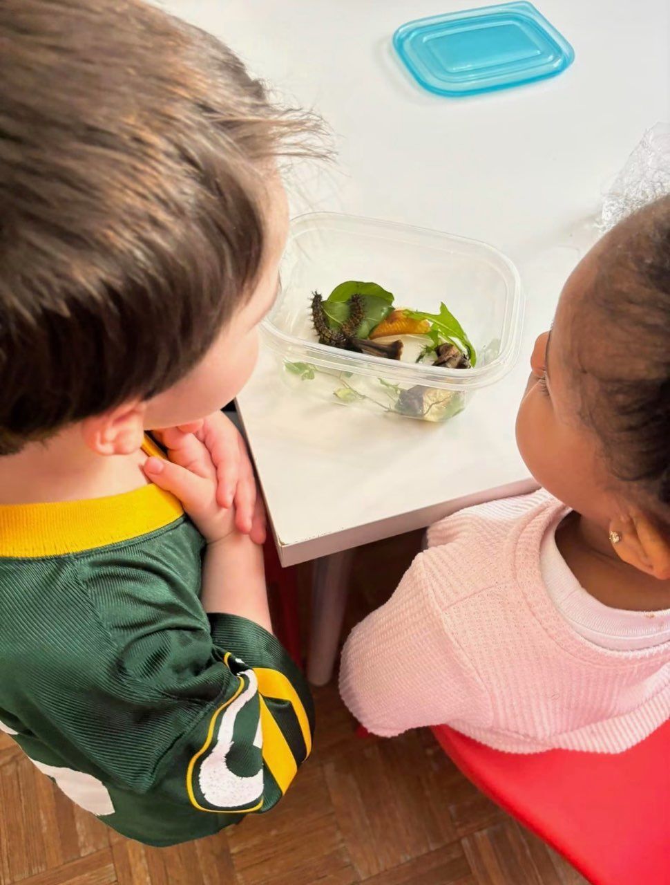 Two children look at a meal in a clear container on a white table.