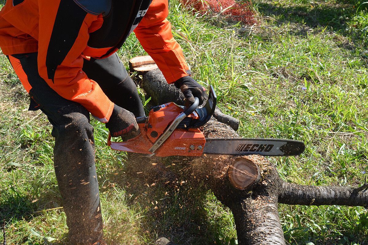 Una persona sta usando una motosega per tagliare un ramo di un albero