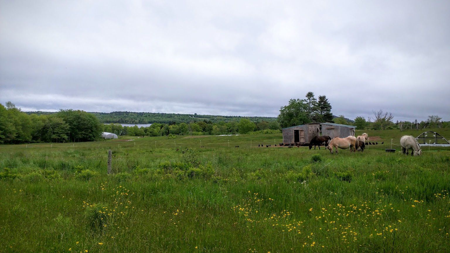 The Bluff House Inn, Maine Inns and Cabins overlooking Frenchman bay