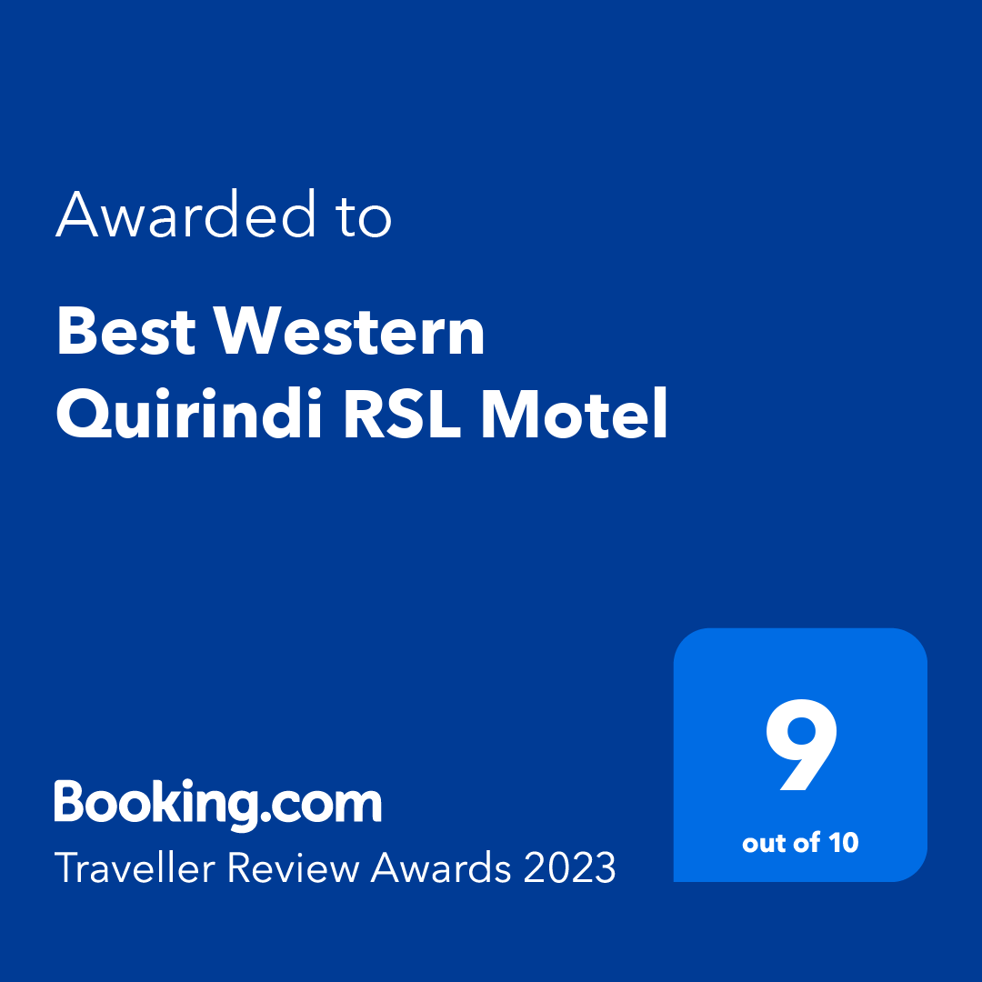 Traveler Review