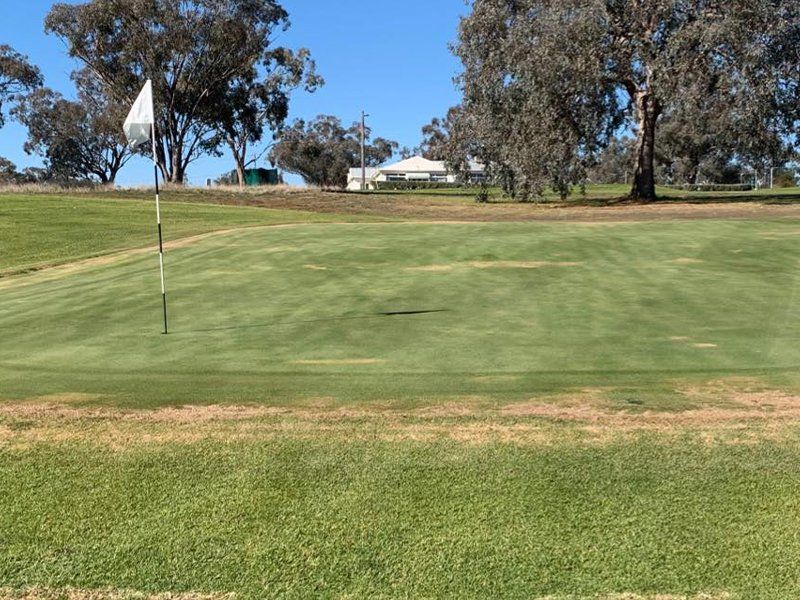 golf club