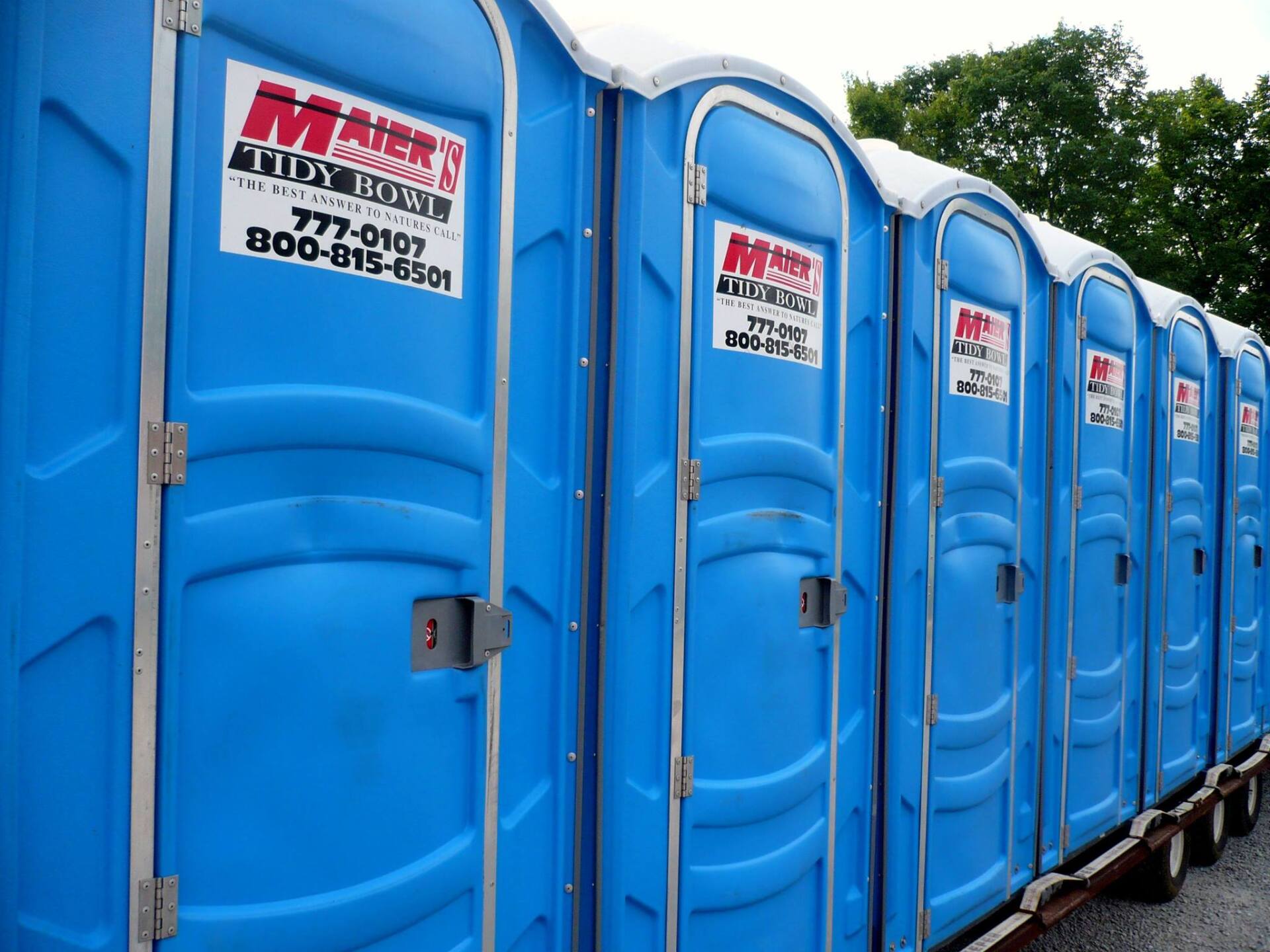 Row of blue portable toilets lined up outdoors along a gravel path