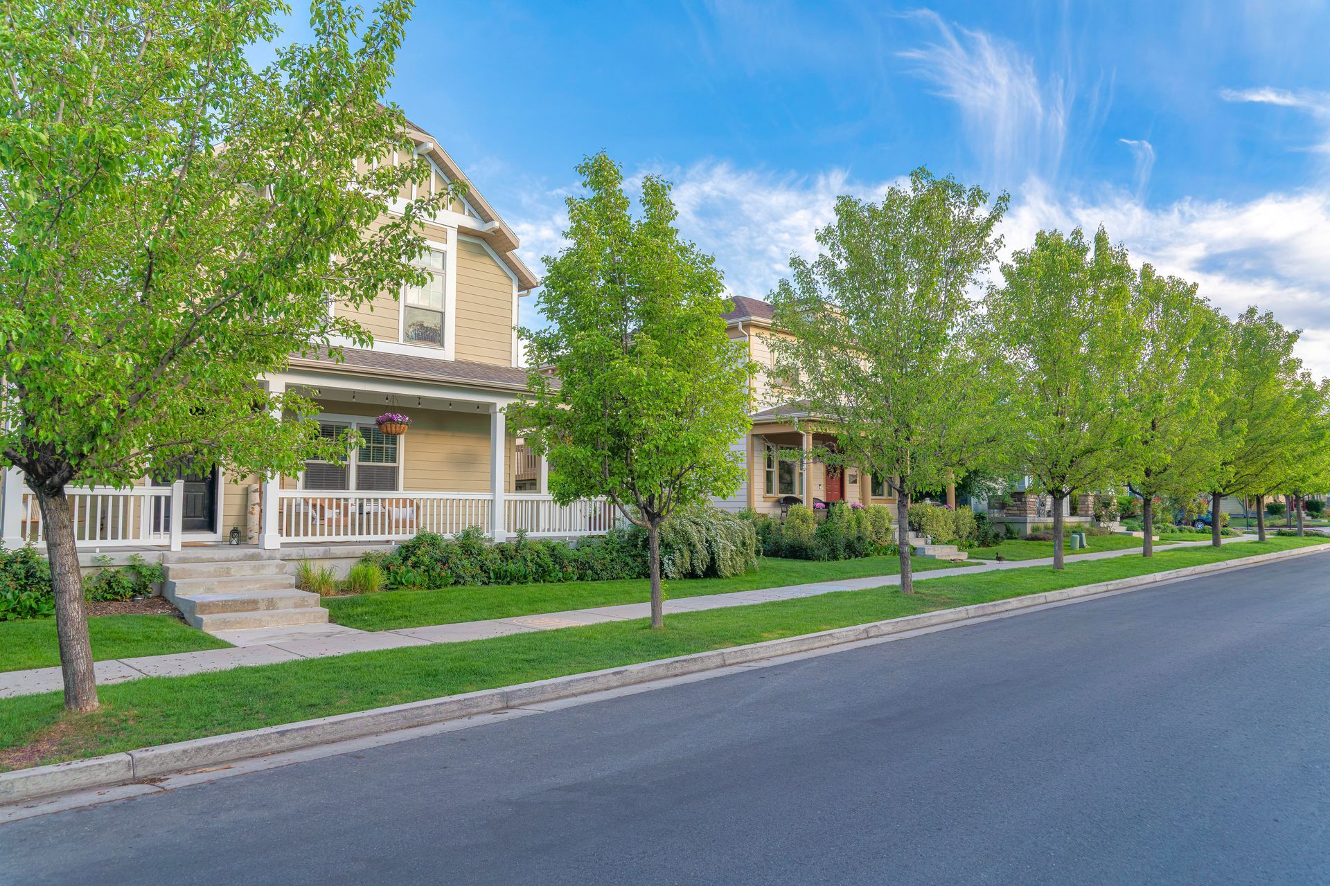 Residential paving contractor project along a tree-lined suburban street with driveways