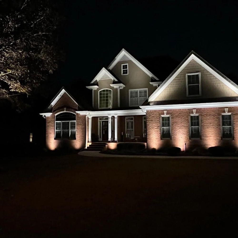 Landscape lighting highlighting trees and a walkway