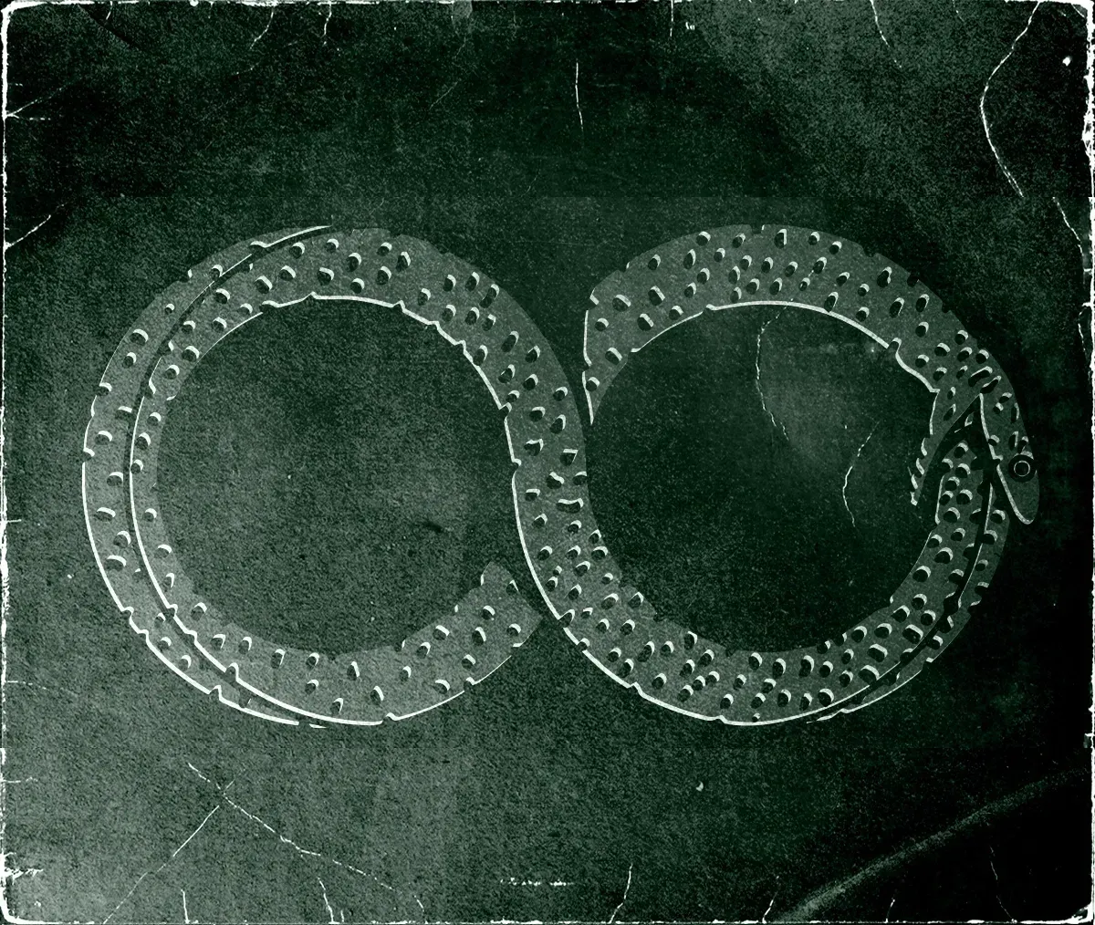 an imiage of a snake bitting its own tail