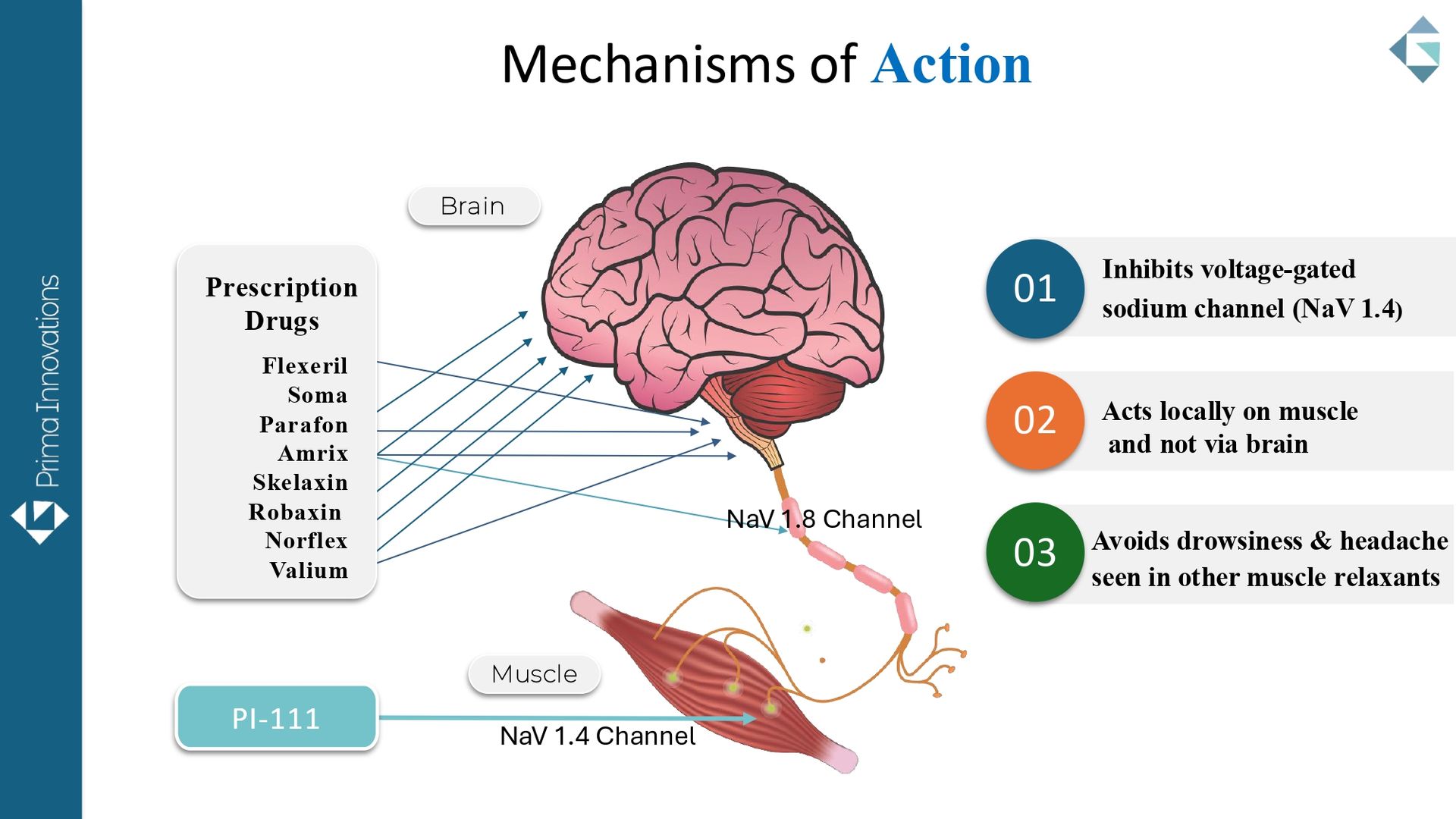 Brain-and-muscle diagram titled “Mechanisms of Action” with three numbered steps on the right.