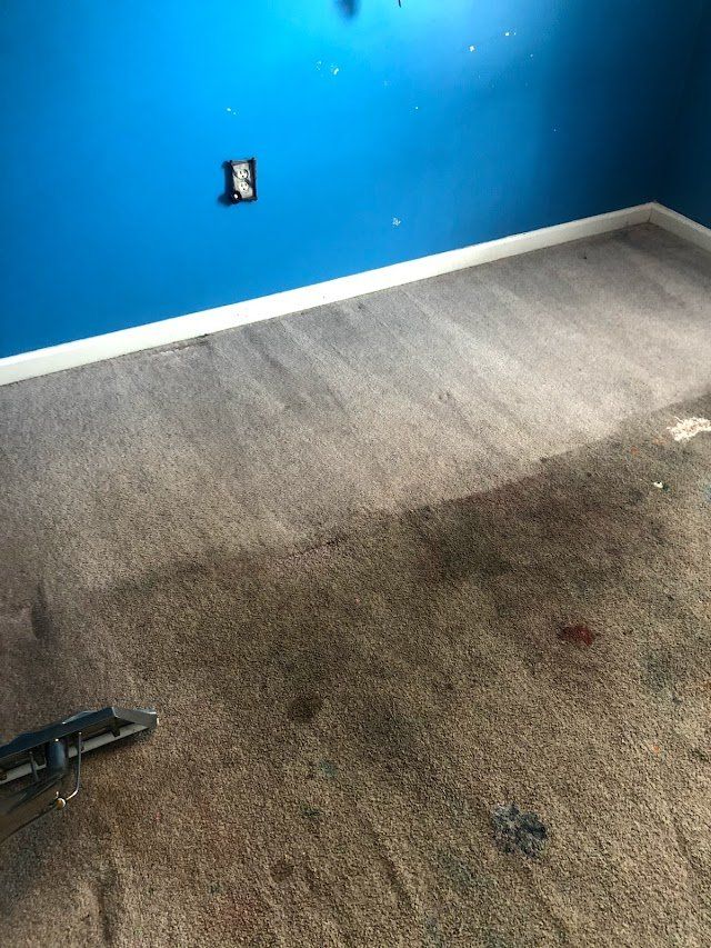 Dirty, stained carpet in a room with blue walls and white trim. A carpet cleaner is visible in the lower left.