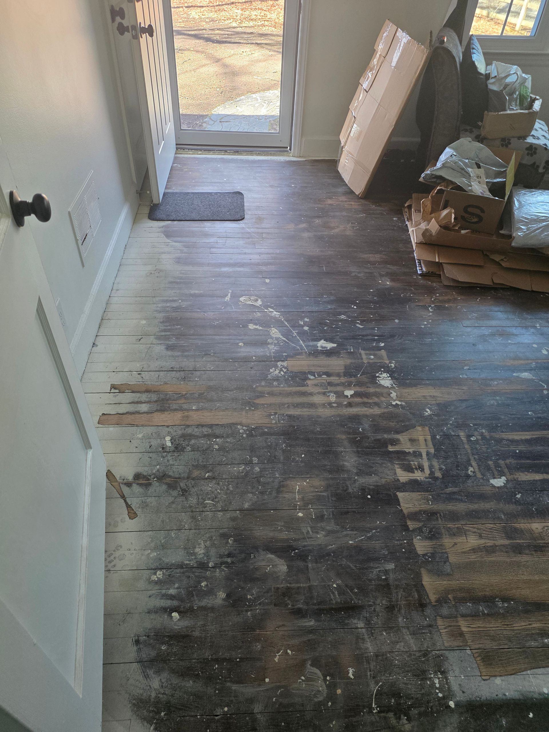 A dog is standing on a wooden floor in a living room.