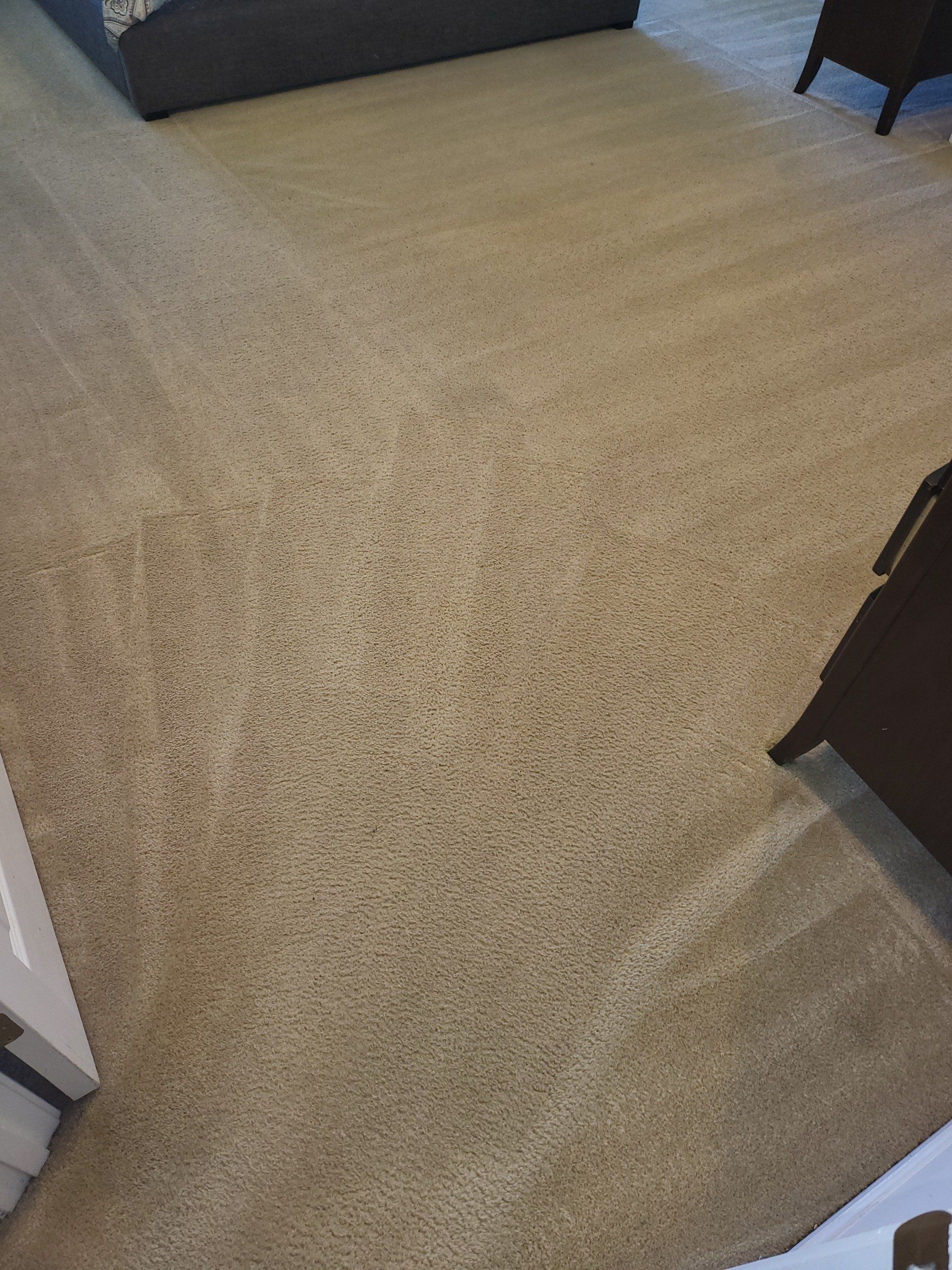 A living room with a carpeted floor and a couch.