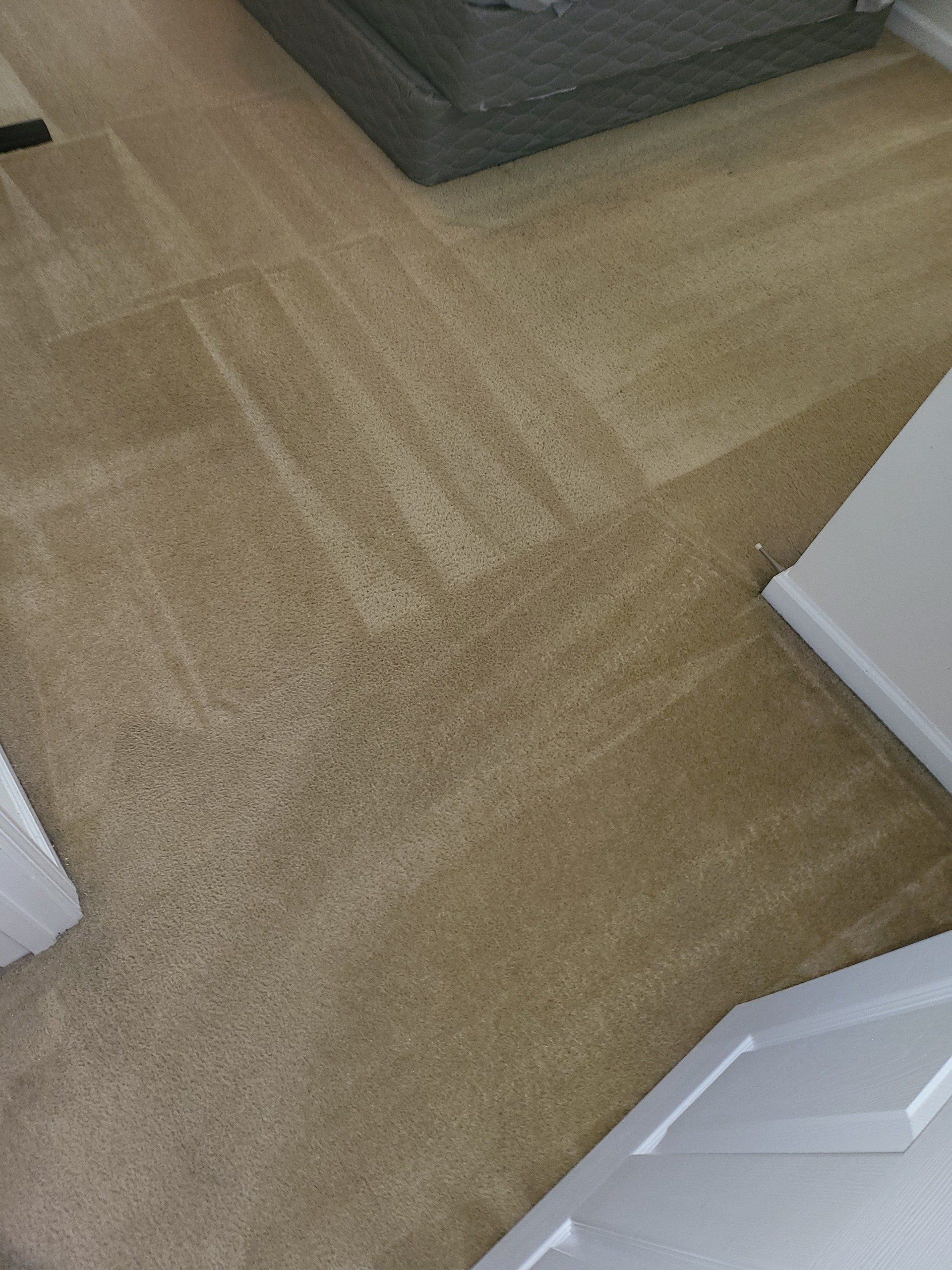 A close up of a carpeted floor in a living room.