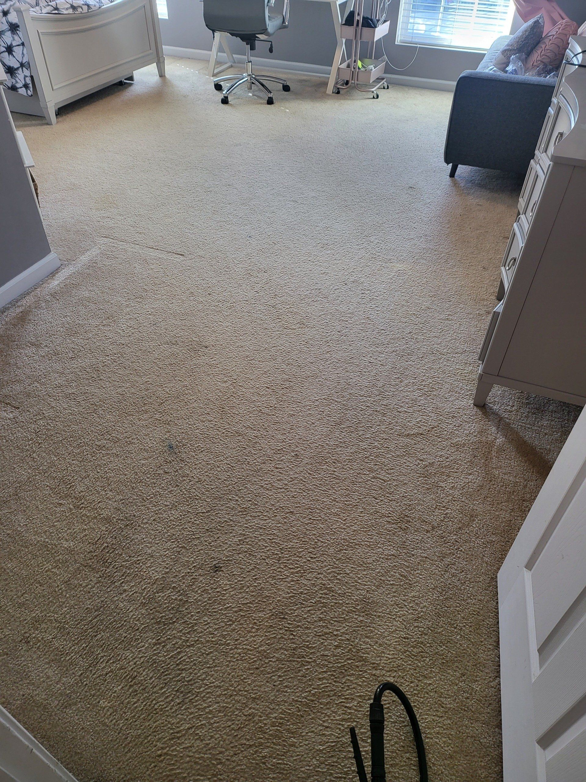 A bedroom with a carpeted floor , a couch , a desk , and a chair.