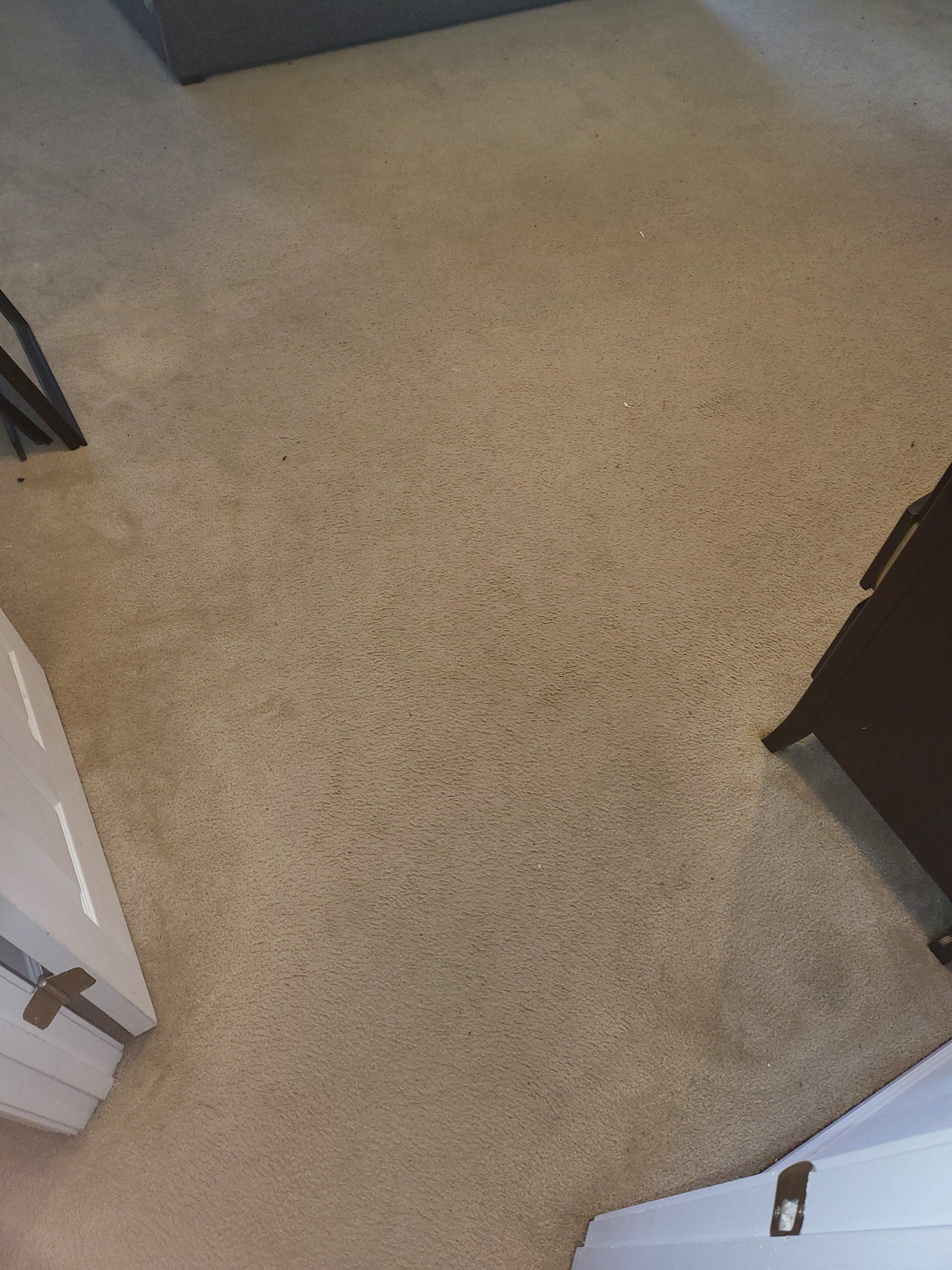 A room with a carpeted floor and a door.