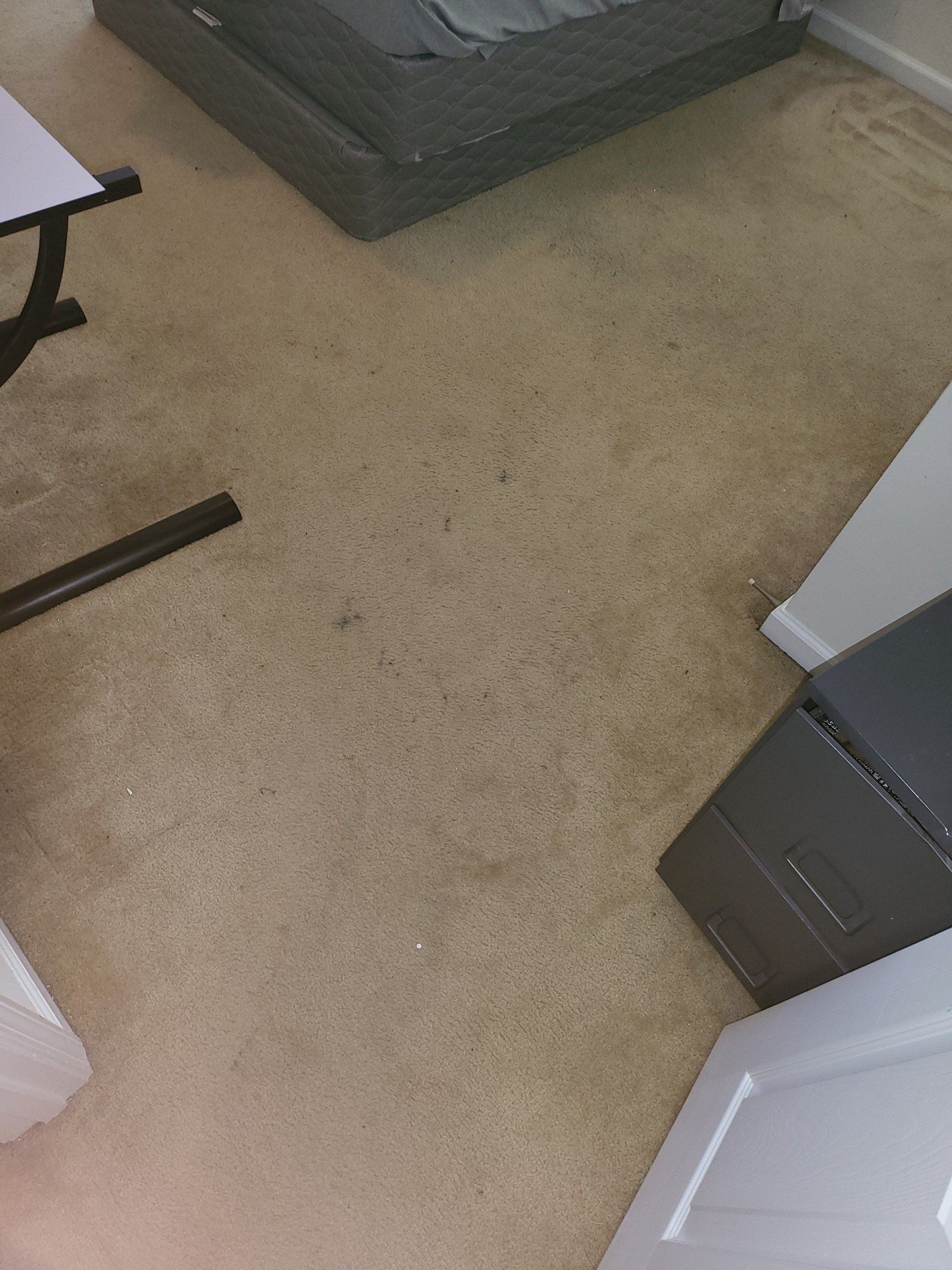 A bed is sitting on top of a carpeted floor in a room.
