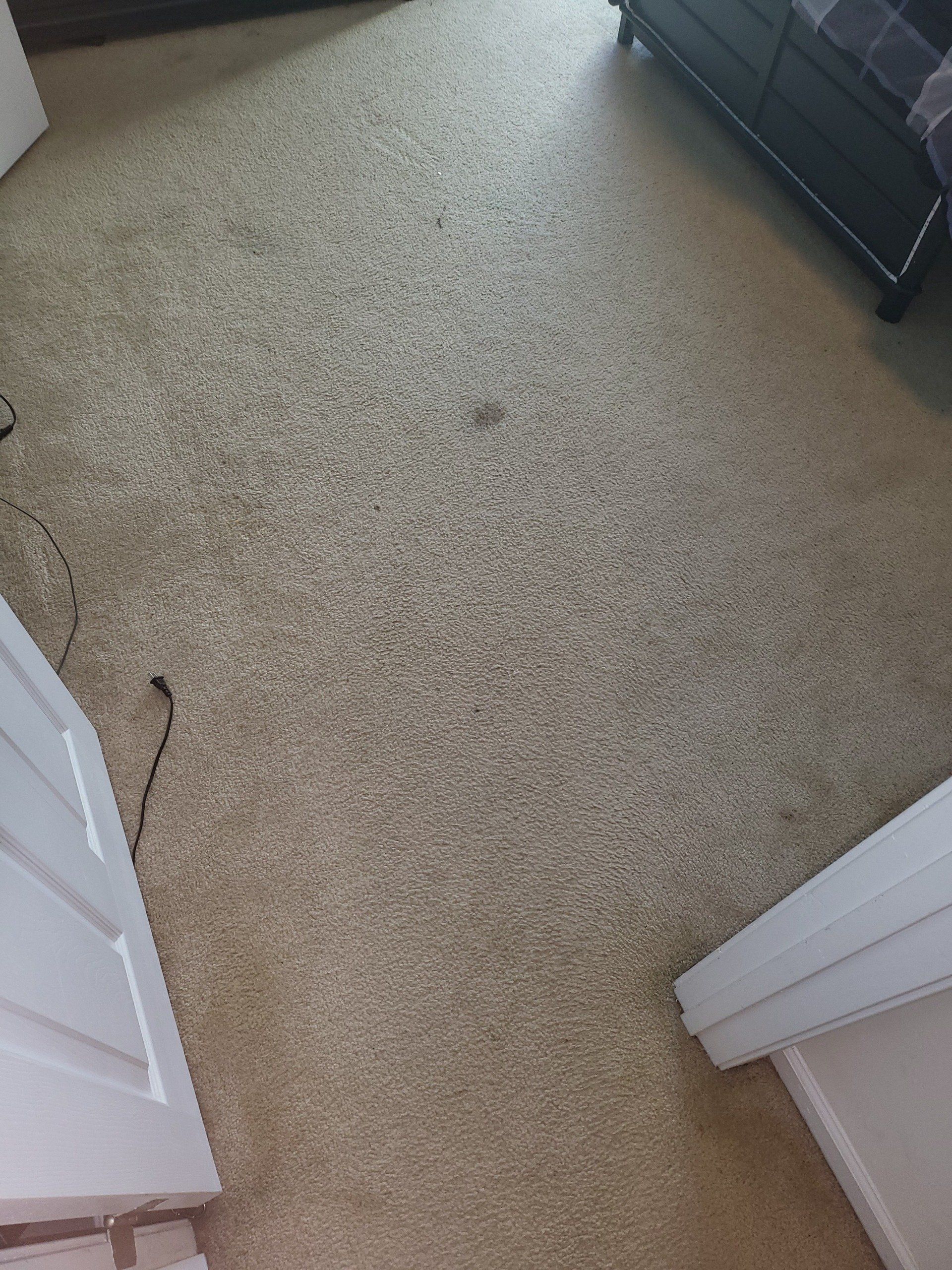 A bedroom with a carpeted floor and a bed.