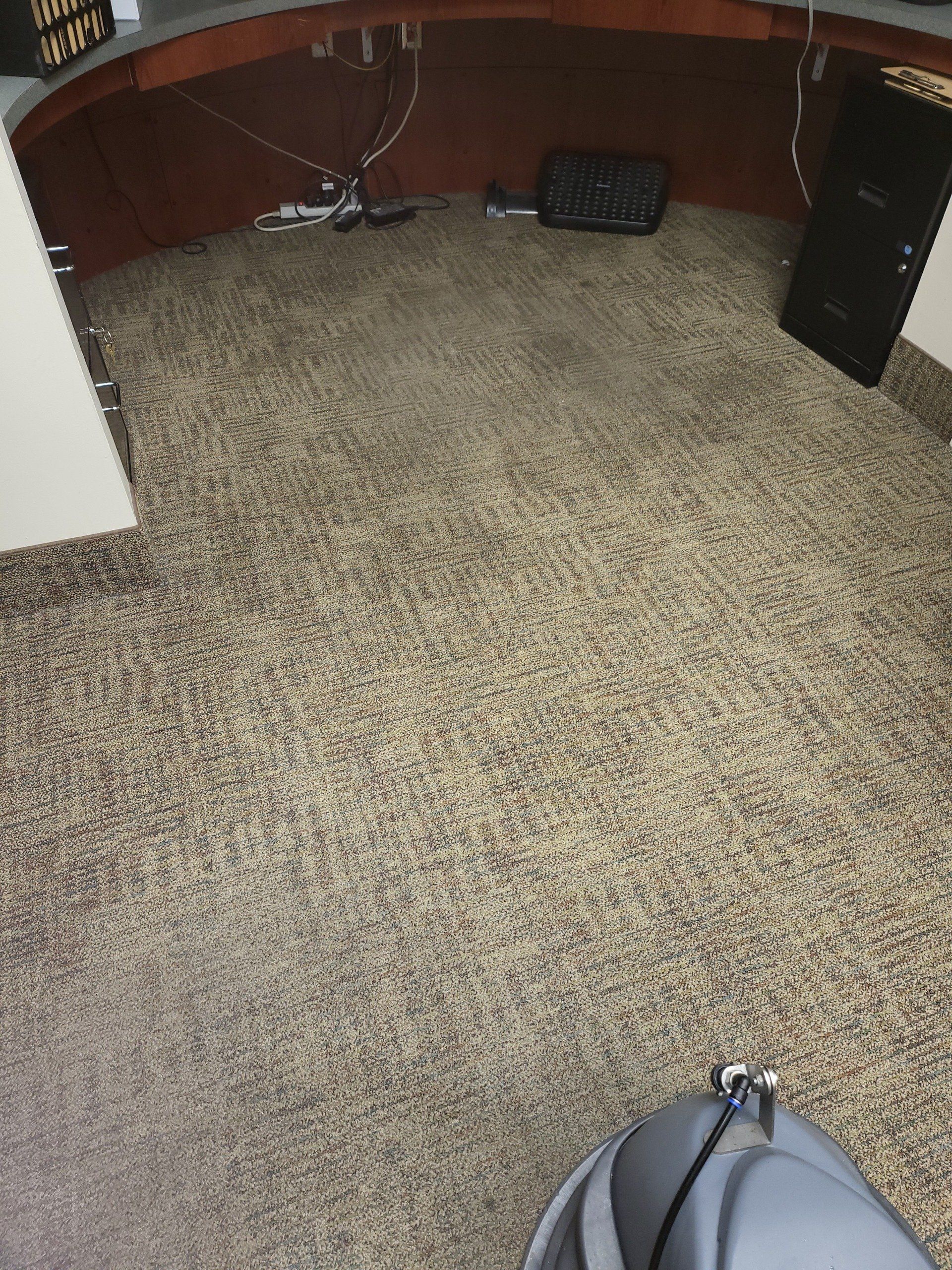 A person is standing on a carpeted floor in a room