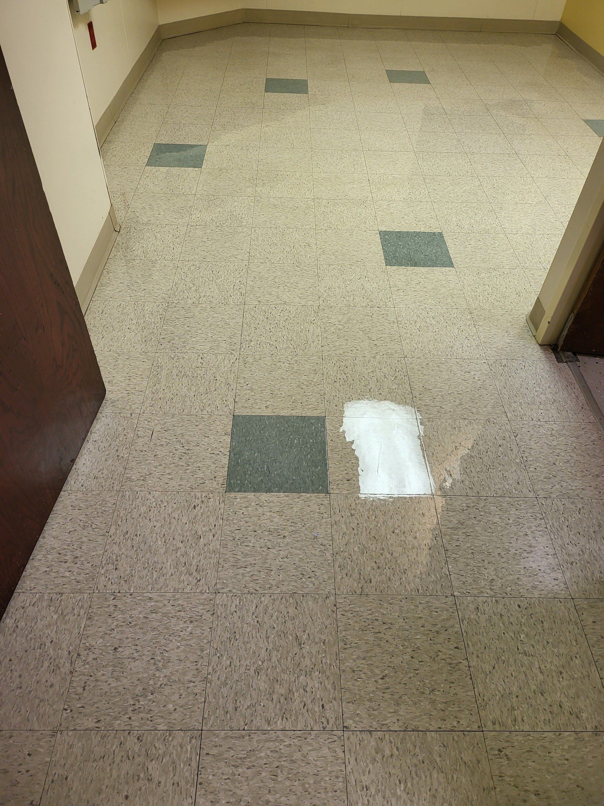 A room with a tiled floor and squares on it
