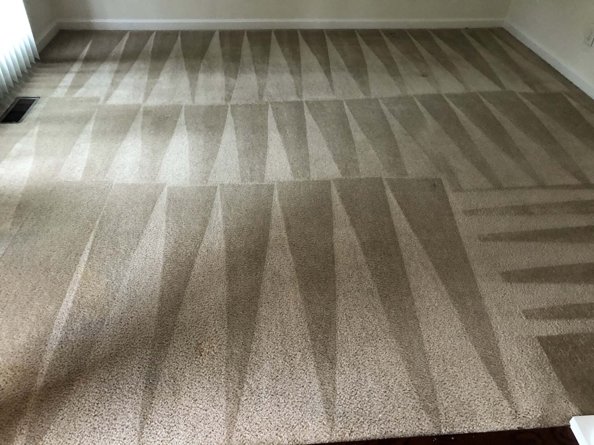 A living room with a carpet that has been cleaned.
