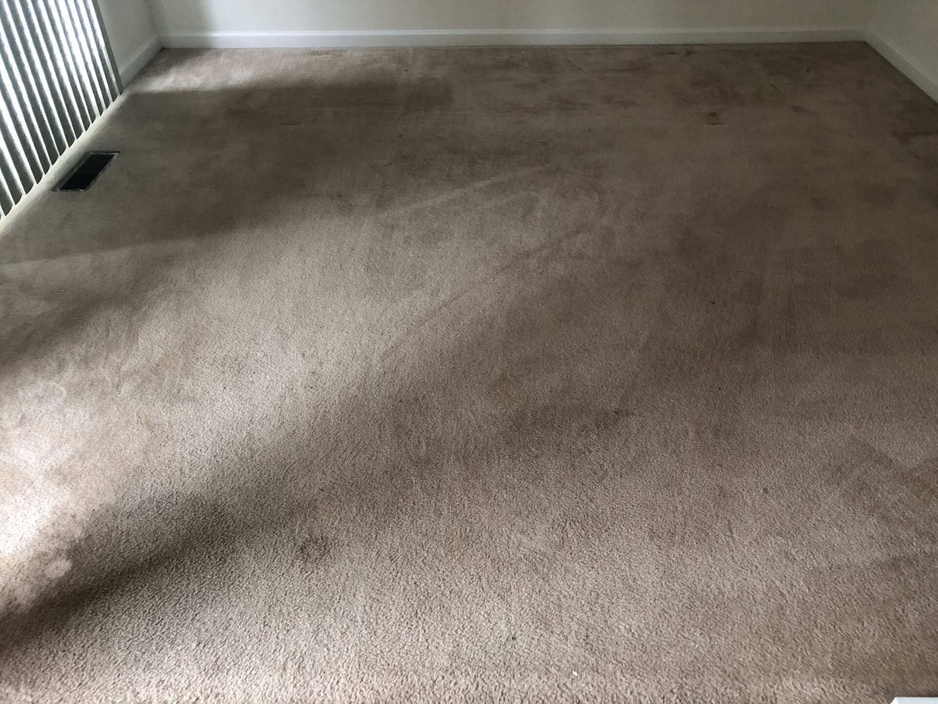 A living room with a carpeted floor and a window.