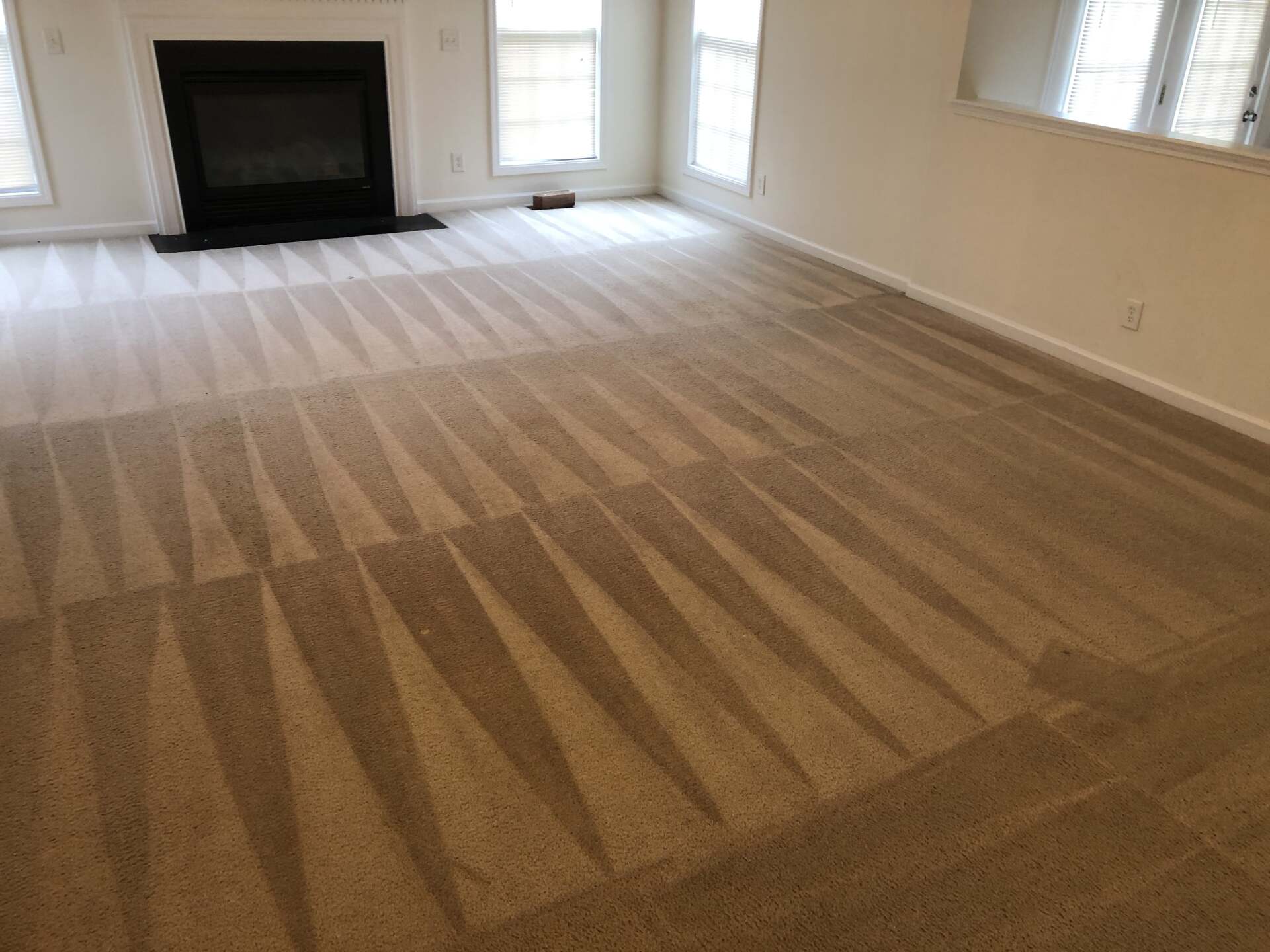 A living room with a fireplace and a carpeted floor.