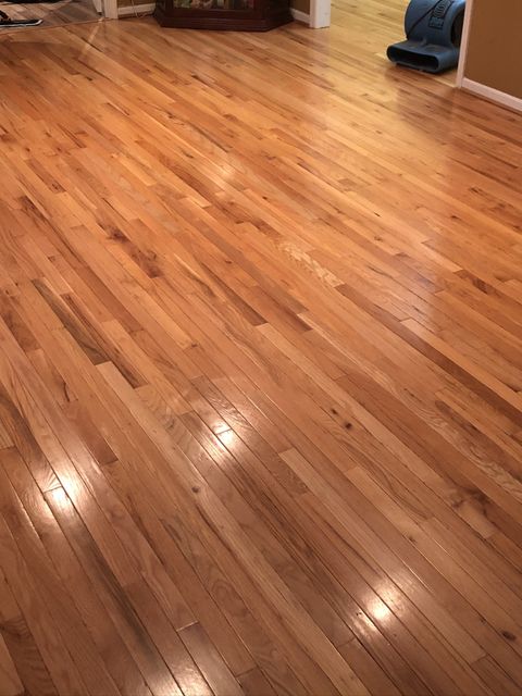 Wood floor, light brown with glossy finish reflecting light, in a room with a glimpse of a hallway and an air mover.