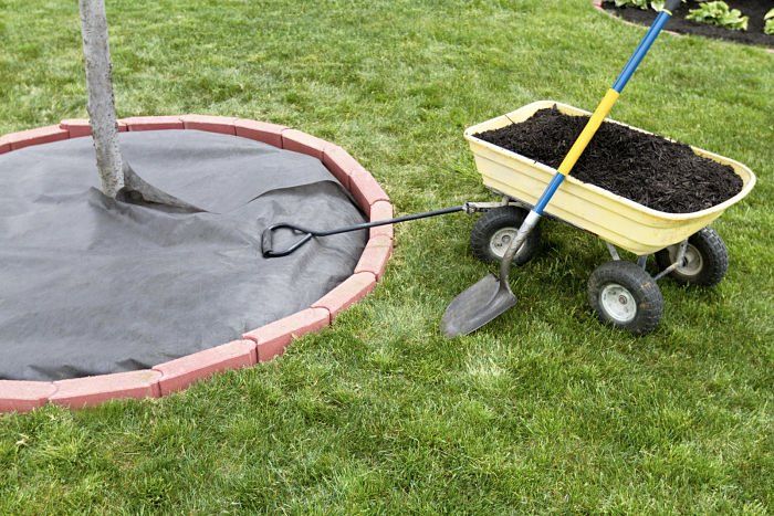 river rock pathway through a well landscaped yard with a sprinkler on