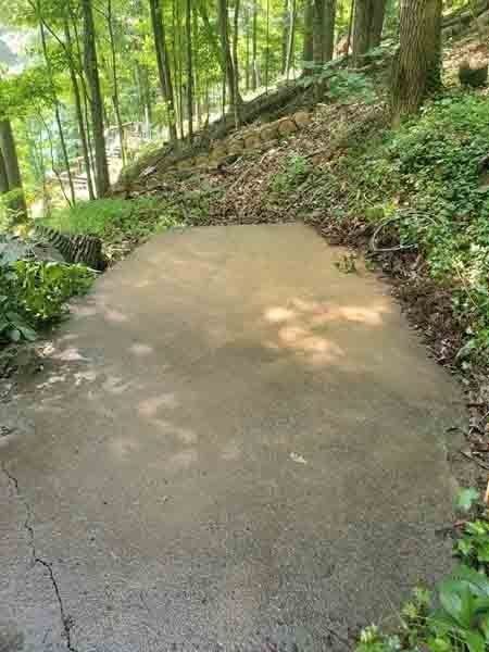 Concrete path in a wooded hillside, surrounded by green trees and plants.