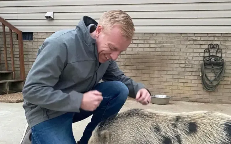A man is kneeling down next to a pig.