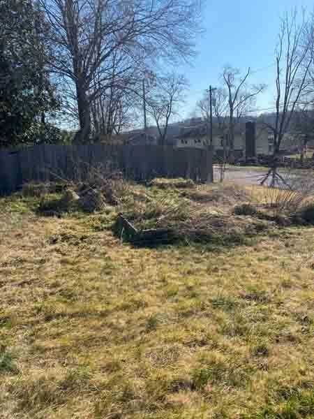 Overgrown grassy yard with bare trees, a wooden fence, and a house in the background under clear sky