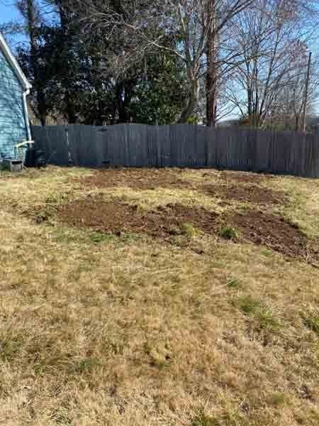 Backyard with bare, muddy patches in dry grass near a wooden fence and trees